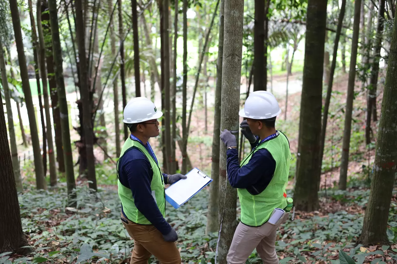 GANISPH Pembinaan Hutan