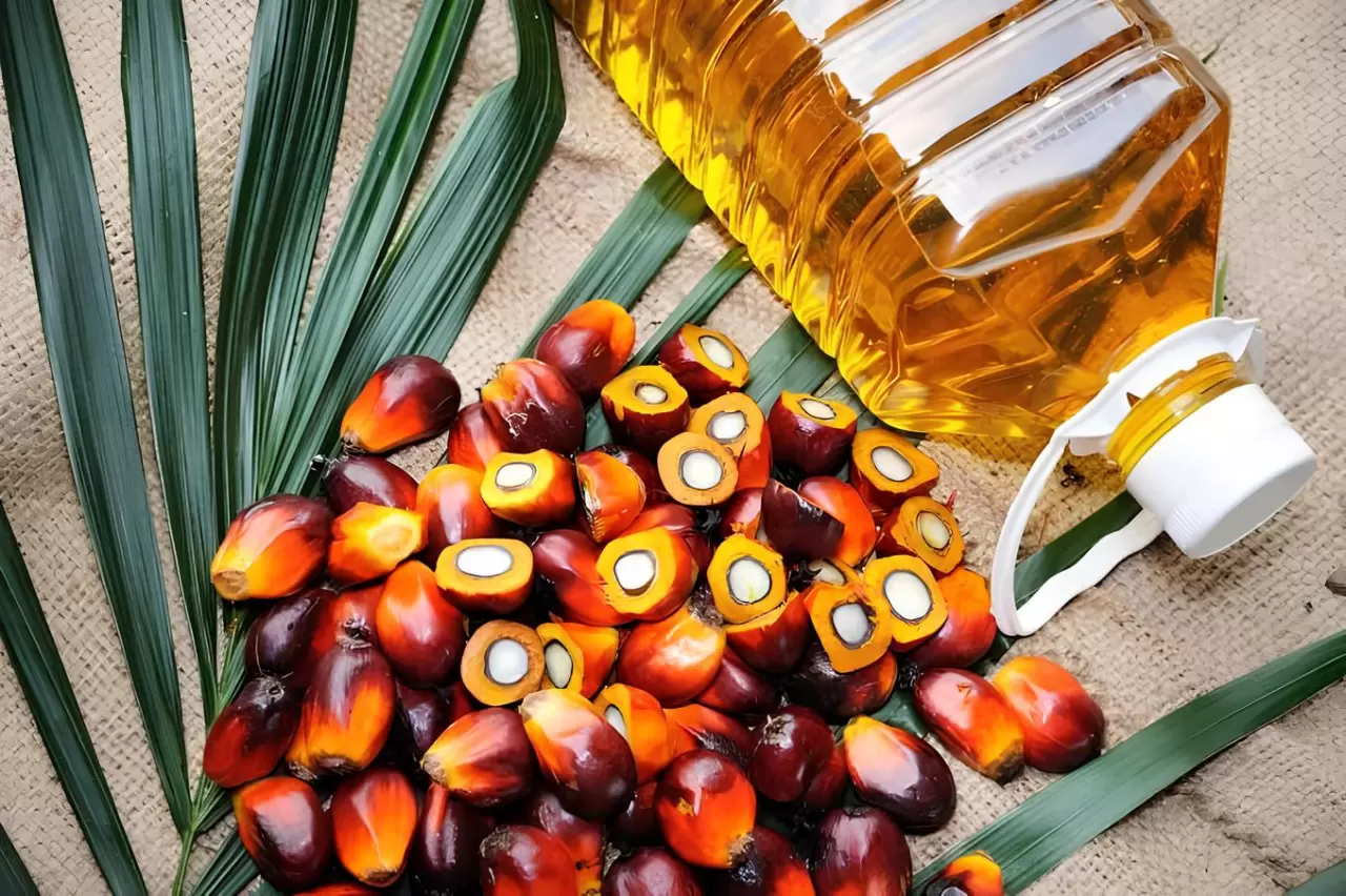 Calculating GHG Palm Oil