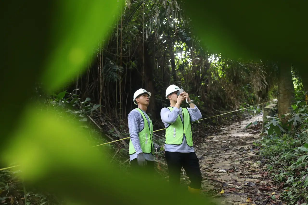Kelas Virtual Mandiri Perencanaan Hutan